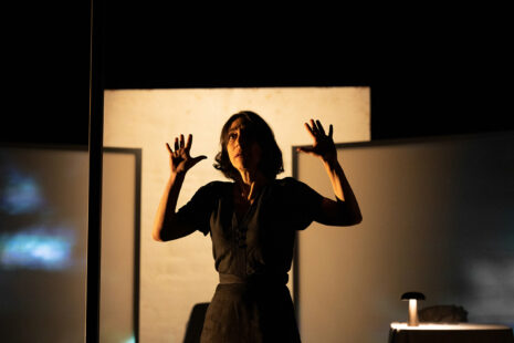 Photo 11 Les Irresponsables, spectacle, TNP, Lyon