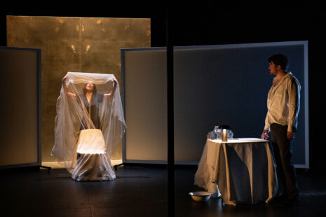 Photo 3 Les Irresponsables, spectacle, TNP, Lyon
