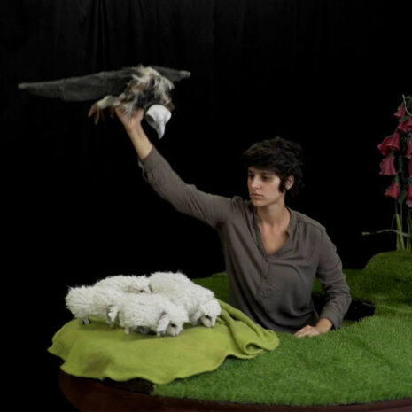 Illustration spectacle agneau a menti