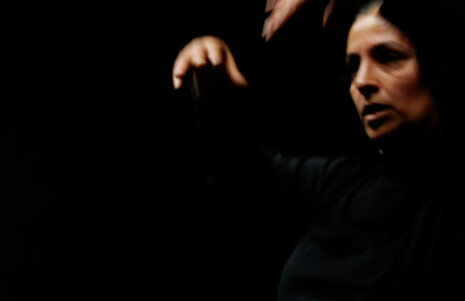 Photo 2 Photo du spectacle de la biennale de la danse "Orage" de Dalila Belaza