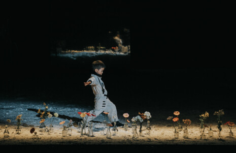 Photo 4 Le petit prince est enfant et il court au milieu des fleurs.